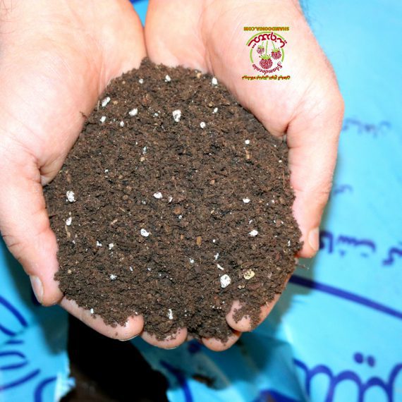 خاک تایسیز